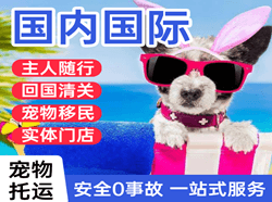 徐州观音机场快运国际宠物托运 【国